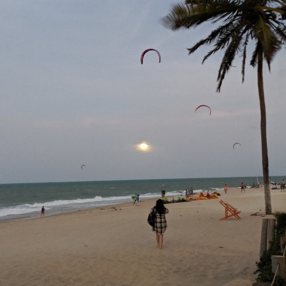 Meet your Posher, Cleo